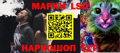 герыч Кингисепп