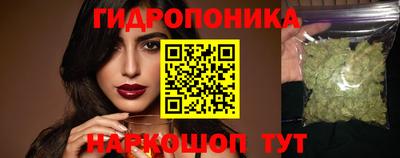 герыч Кингисепп