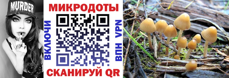 Галлюциногенные грибы Psilocybine cubensis  Красногорск 