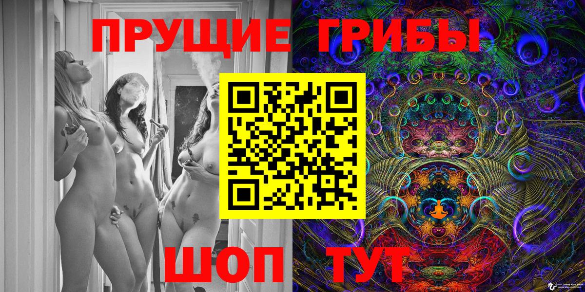 Галлюциногенные грибы Psilocybe Красногорск